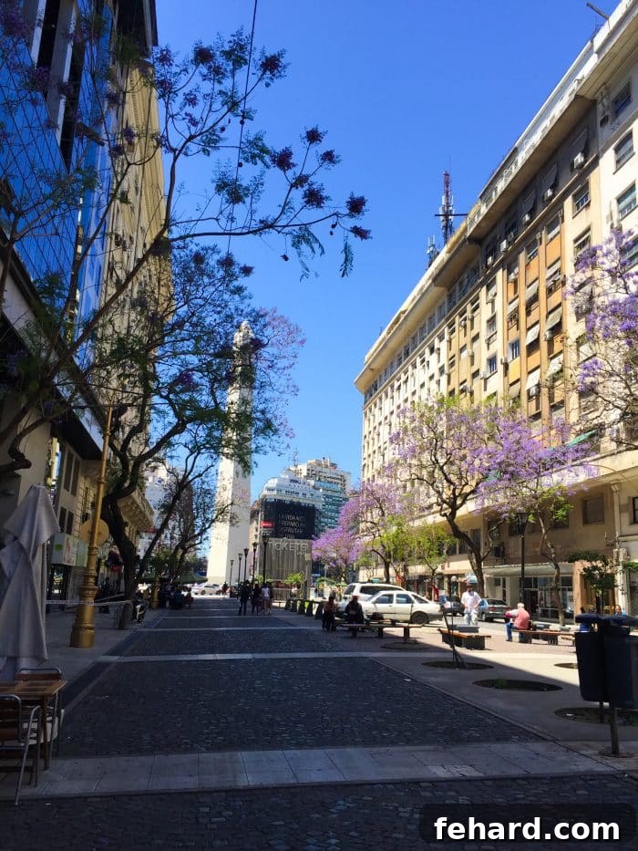 The stunning Palermo Woods, a green oasis in Buenos Aires.