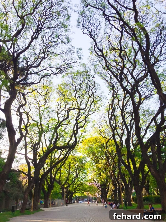 A serene park scene offering a tranquil escape in Buenos Aires.