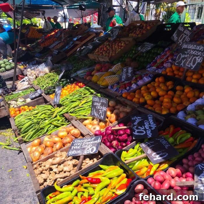Charming streets and friendly faces in the vibrant city of Montevideo.