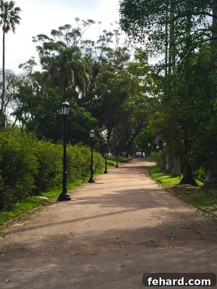 A peaceful moment captured in a lush Montevideo park.