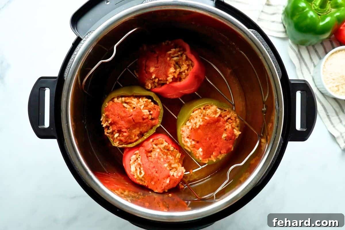Cooked Pressure Cooker Stuffed Peppers Four perfectly cooked stuffed bell peppers, warm and ready, resting on a metal rack inside the Instant Pot after the pressure cooking cycle has completed.