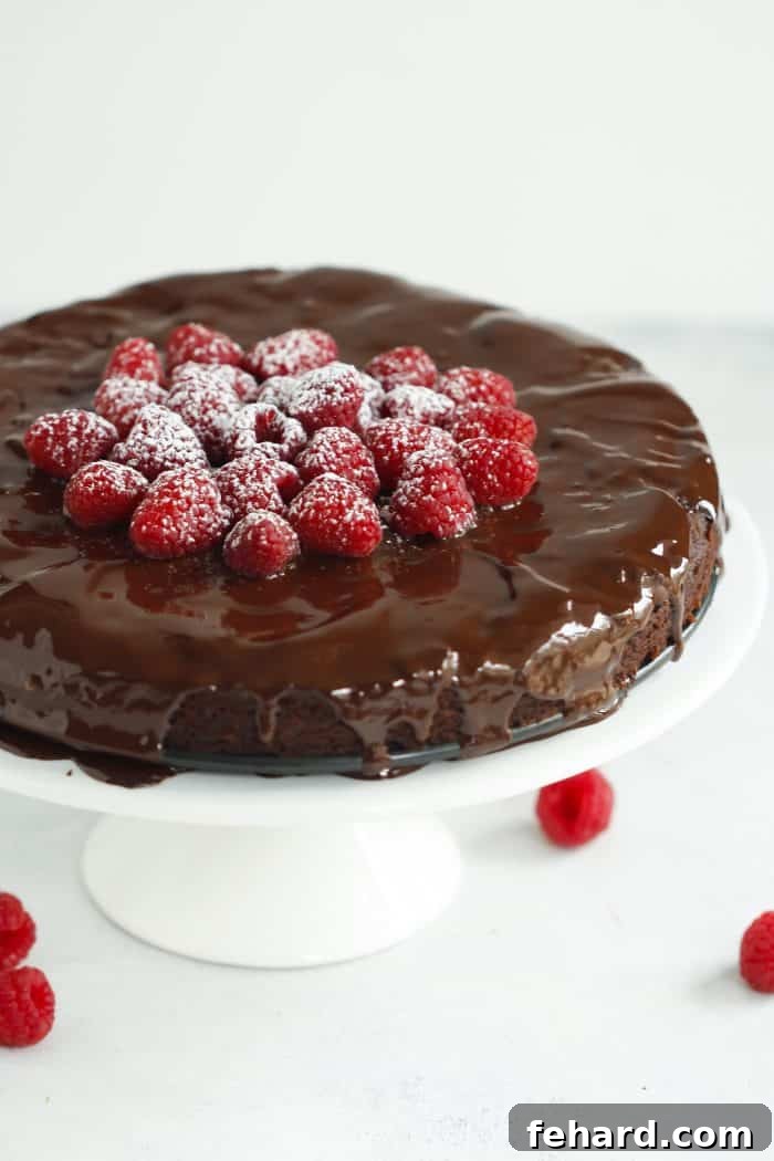 Velvet Chocolate Raspberry Symphony 2 Moist slice of Low-Carb Raspberry Chocolate Cake with a dusting of cocoa powder and fresh raspberries, highlighting its gluten-free and sugar-free qualities.