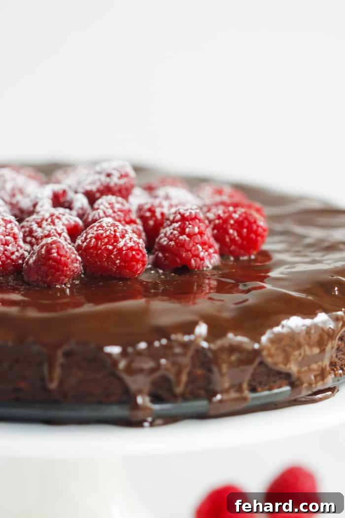 Velvet Chocolate Raspberry Symphony 3 Close-up of the moist interior of the Low-Carb Raspberry Chocolate Cake, showing the raspberries baked within.