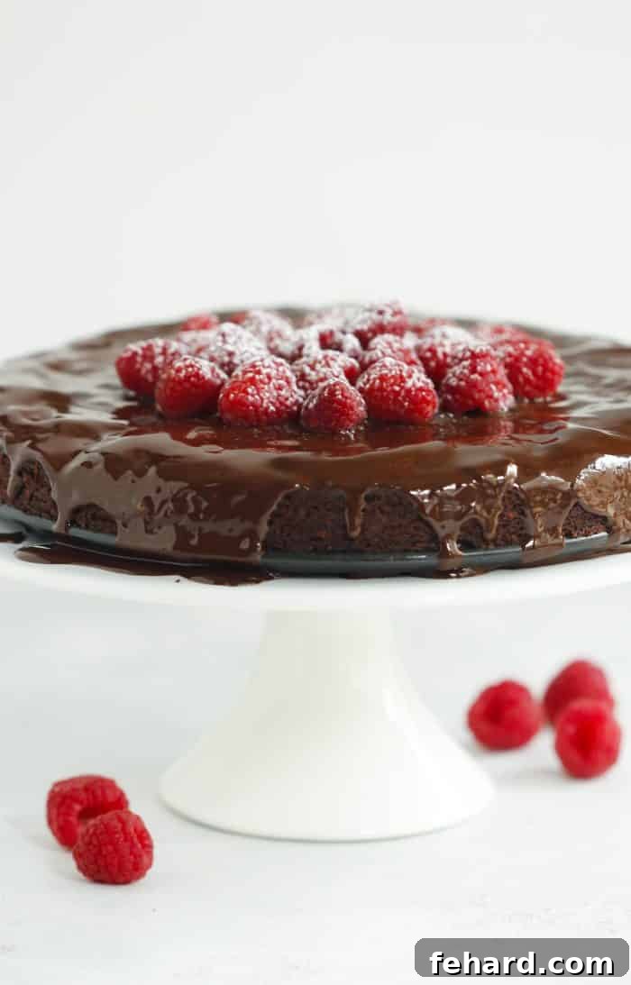 Velvet Chocolate Raspberry Symphony 4 Beautifully presented Low-Carb Raspberry Chocolate Cake, topped with melted dark chocolate and fresh raspberries.