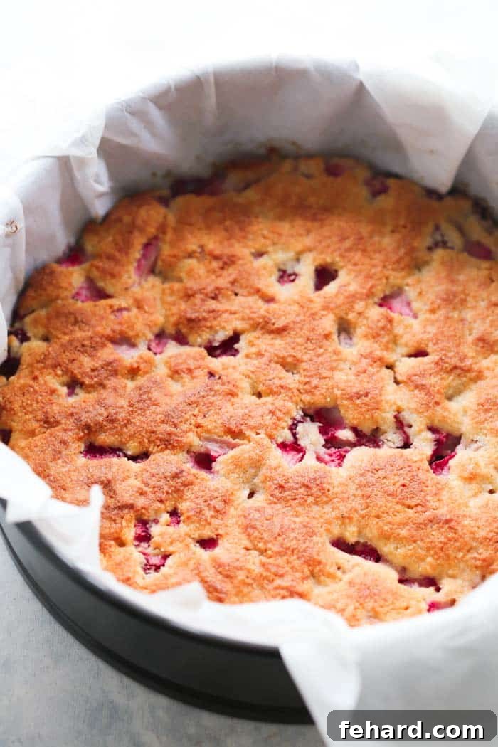 Platter of freshly baked Low-Carb Strawberry Coconut Scones, garnished with fresh strawberries and coconut flakes, inviting for a morning treat.