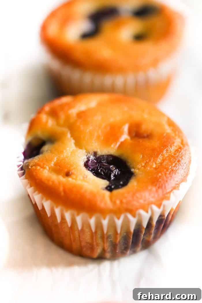 Perfectly Baked Low-carb Lemon Blueberry Blender Muffins: A Close-Up. Closer view of freshly baked Low-carb Lemon Blueberry Muffins resting in a muffin tin, highlighting their golden-brown tops and tender, moist interior.