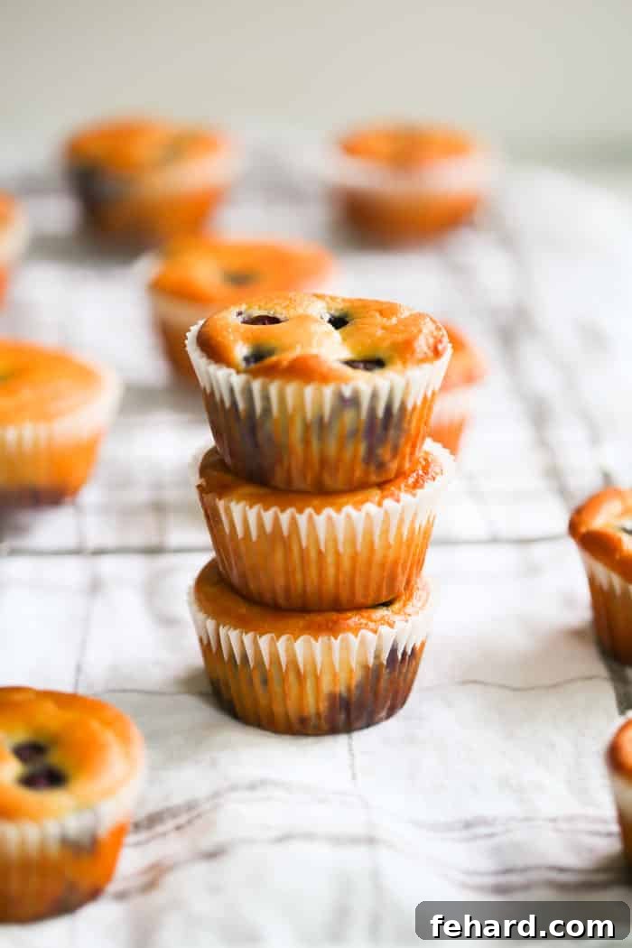 Golden Perfection: Low-carb Lemon Blueberry Blender Muffins Ready to Enjoy. Overhead shot of a batch of golden Low-carb Lemon Blueberry Muffins, sprinkled with extra blueberries, cooling in a pan.
