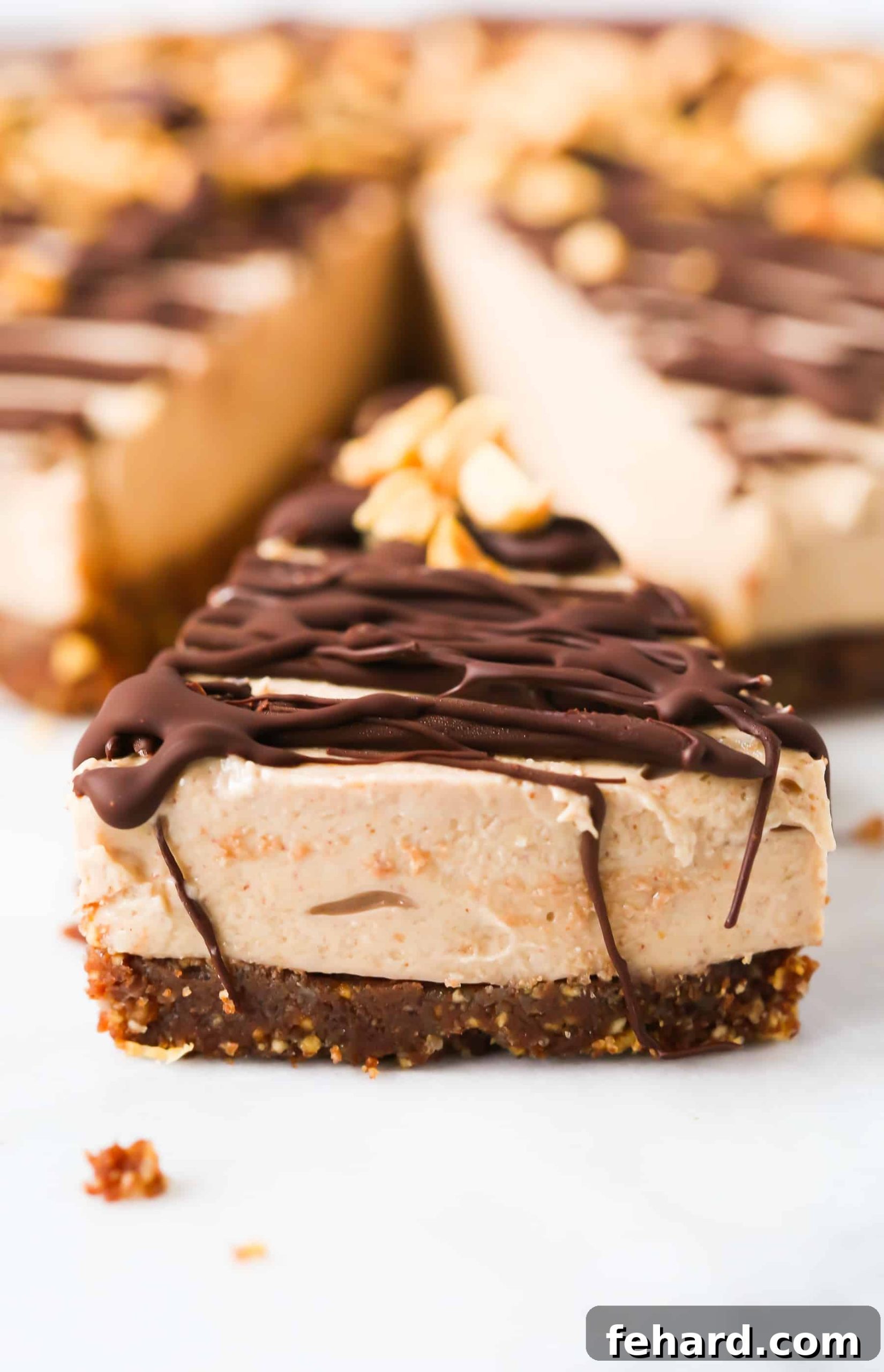 Gluten-Free No-Bake Peanut Butter Pie - Creamy, Vegan, Dairy-Free, and Easy A vibrant close-up shot of the creamy, vegan, dairy-free Gluten-Free No-Bake Peanut Butter Pie, ready to be enjoyed.
