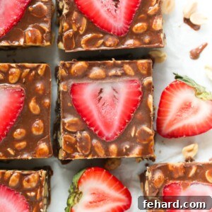 No-Bake Chocolate Strawberry Bars Recipe Image
