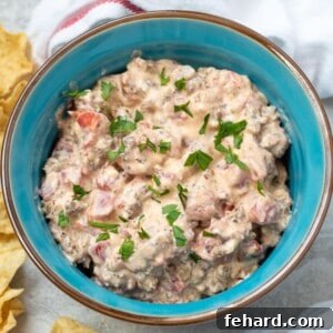 Rotel Cream Cheese Sausage Dip in blue serving dish next to tortilla scoops.