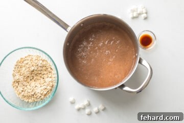 Milk, water, and cocoa powder simmering in small saucepan next to oats and marshmallows on the side.
