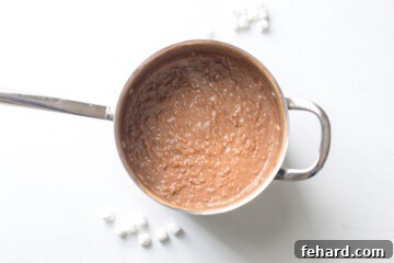 Chocolate Oatmeal cooked in saucepan with marshmallows on the side.