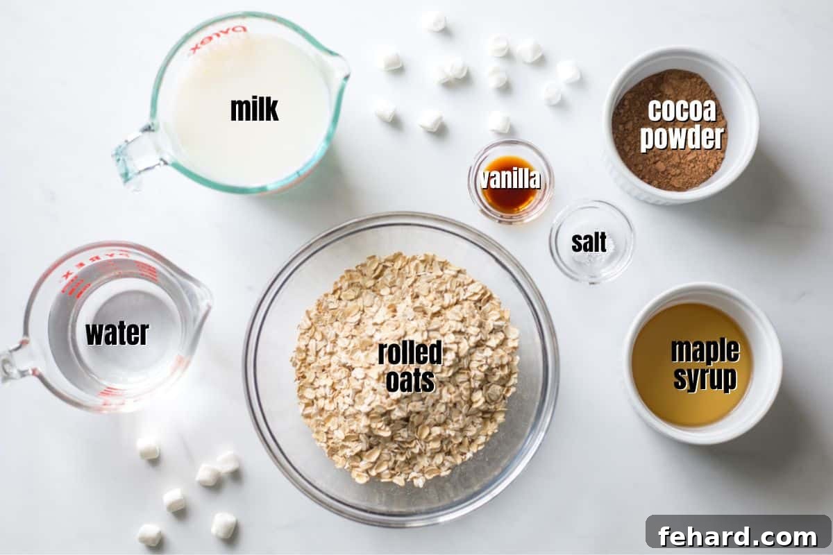 Ingredients for hot chocolate oatmeal labeled on counter, ready for preparation.