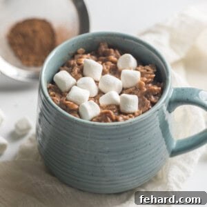 Hot Chocolate Oatmeal in blue mug topped with marshmallows, a visually appealing breakfast.