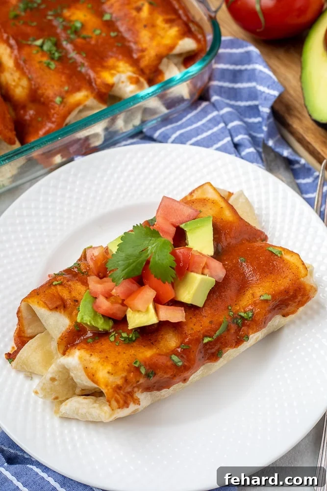Two vegetarian enchiladas on white plate topped with diced avocado and cilantro.