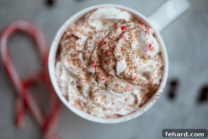 Hot Chocolate Served with Candy Canes A mug of hot chocolate next to festive candy canes, ready for serving.