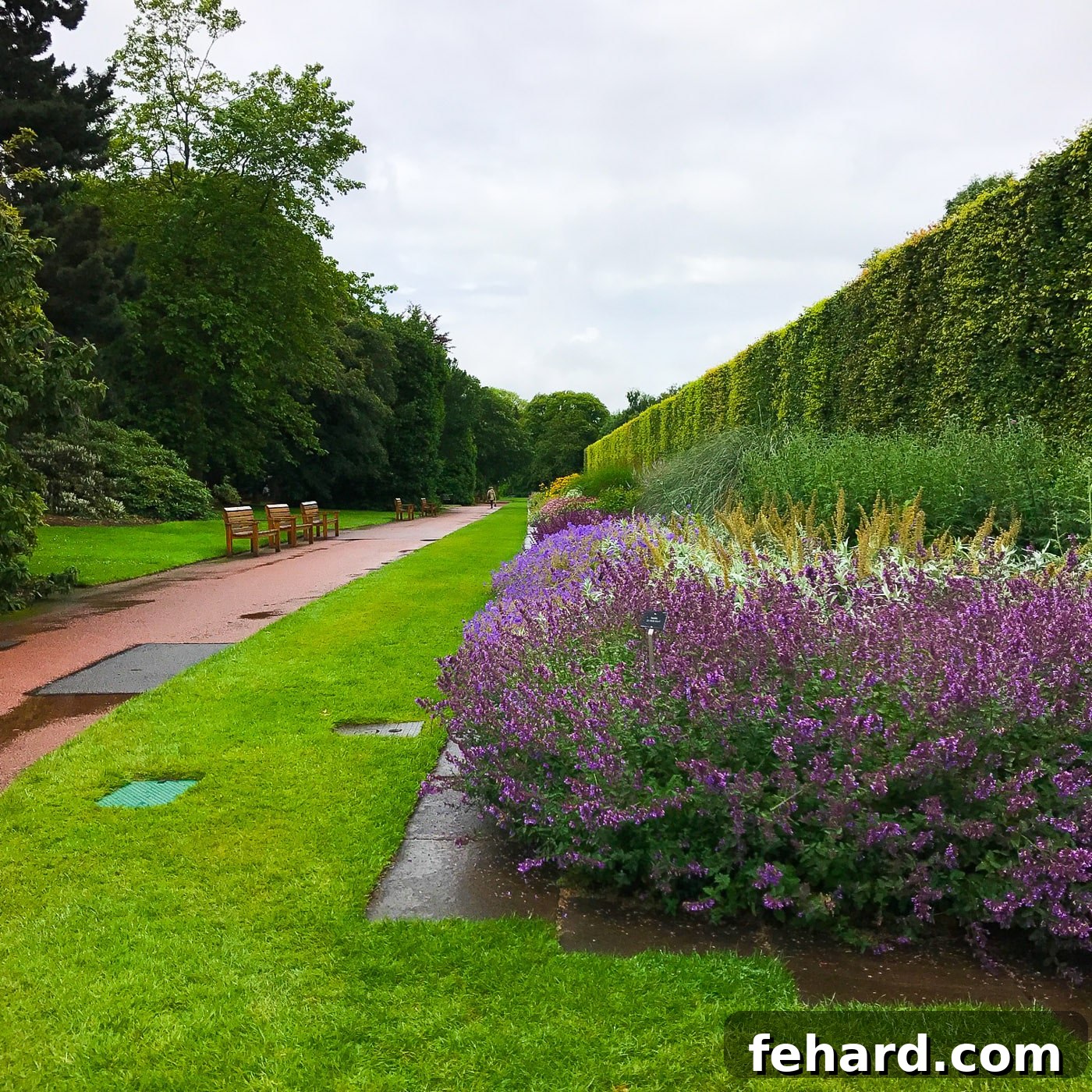 A serene landscape view of a beautifully maintained park in Edinburgh