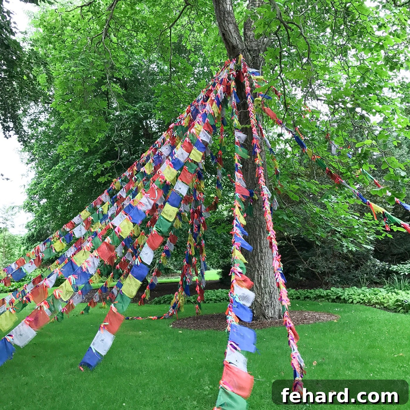 Colorful bunting decorations adorning a tree in an Edinburgh park