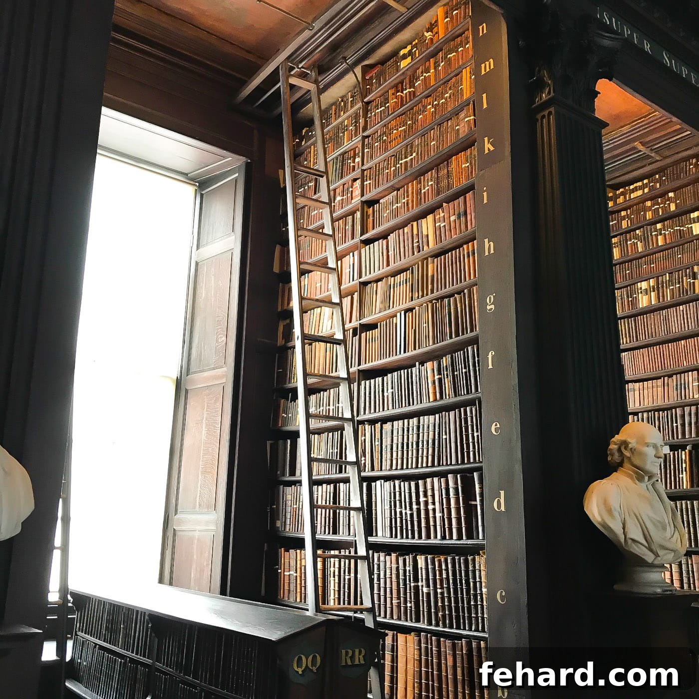 The majestic architectural details of the Library of Trinity College Dublin