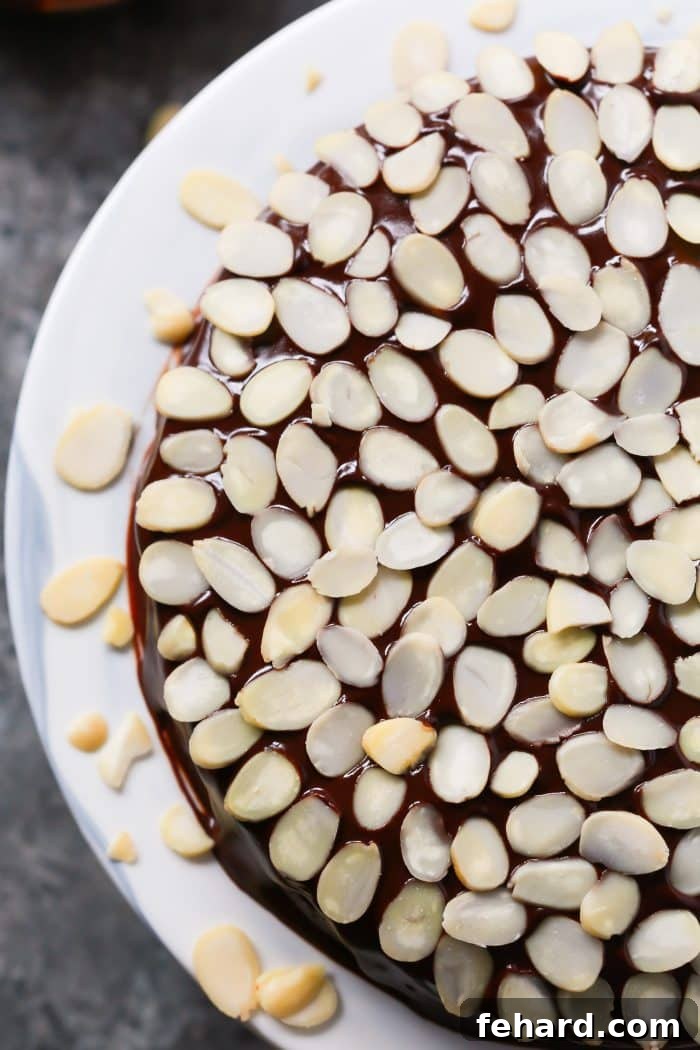 Gluten-Free Almond Flour Chocolate Cake Topped with Sliced Almonds