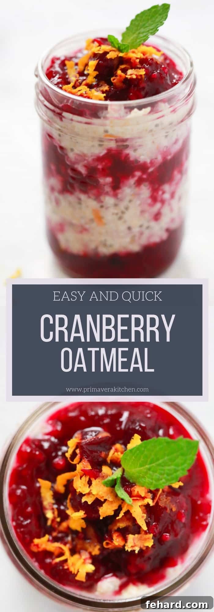 A top-down view of Cranberry Oatmeal in a bowl, garnished with mint and orange zest