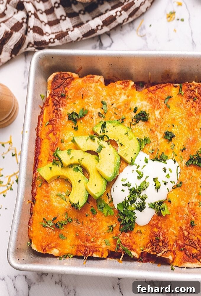 Creamy Chicken Enchiladas Recipe Baked Chicken Enchiladas topped with fresh avocado slices and a dollop of sour cream, ready to serve.