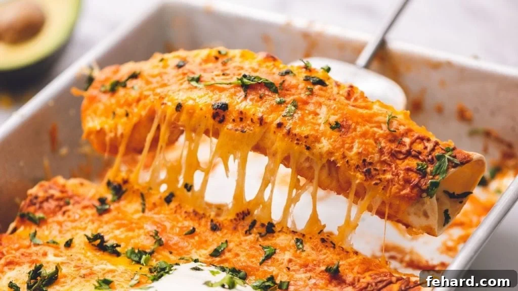 Baked Chicken Enchiladas Fresh from Oven A serving of golden-brown baked Chicken Enchiladas being pulled out of a baking dish, with melted cheese and bubbling sauce.