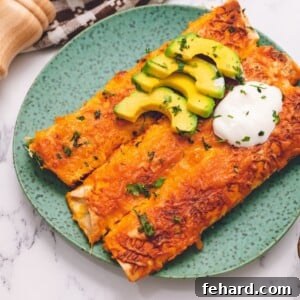 No Fuss Cheesy Chicken Enchiladas 2 A single serving of chicken enchiladas on a plate, garnished with fresh avocado slices and cilantro, showcasing the creamy filling and golden-brown top.