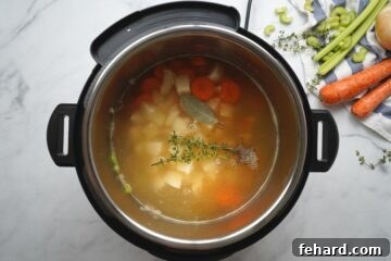 Ingredients for Chicken Stew in Instant Pot ready to be cooked.