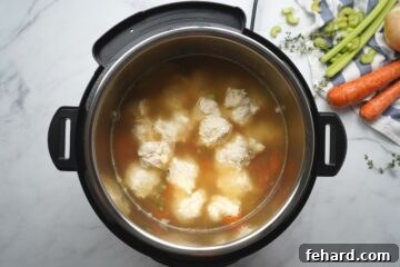 Chicken soup with dumplings in broth before pressure cooking.