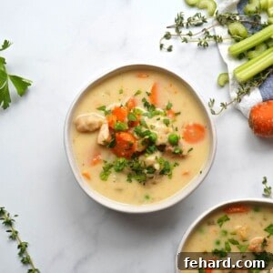 Bowl of homemade chicken and dumplings.