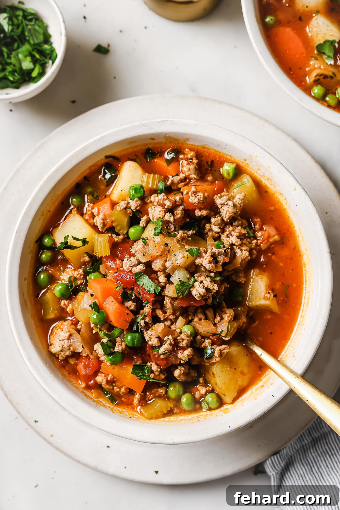 A comforting bowl of ground turkey soup, garnished with fresh herbs, ready to be enjoyed.