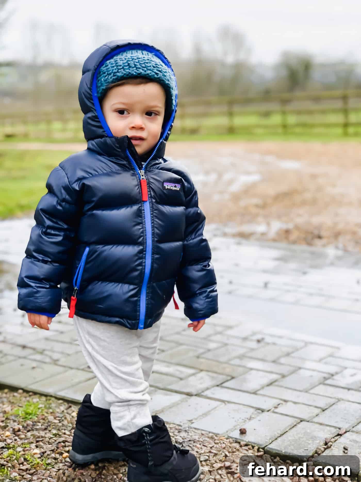 A toddler exploring an idyllic cottage area, captivated by the rural surroundings