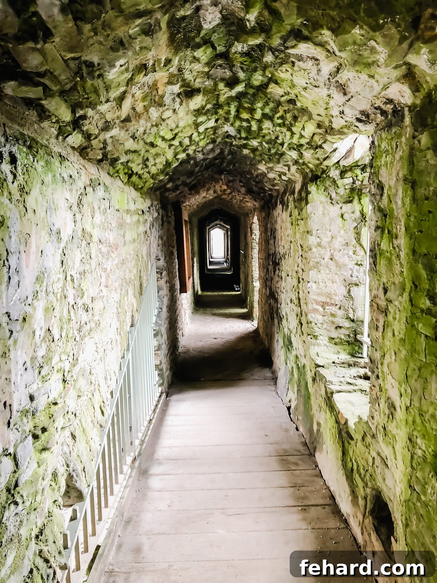 Inside view of a grand hall at Caerphilly Castle, with preserved architectural elements
