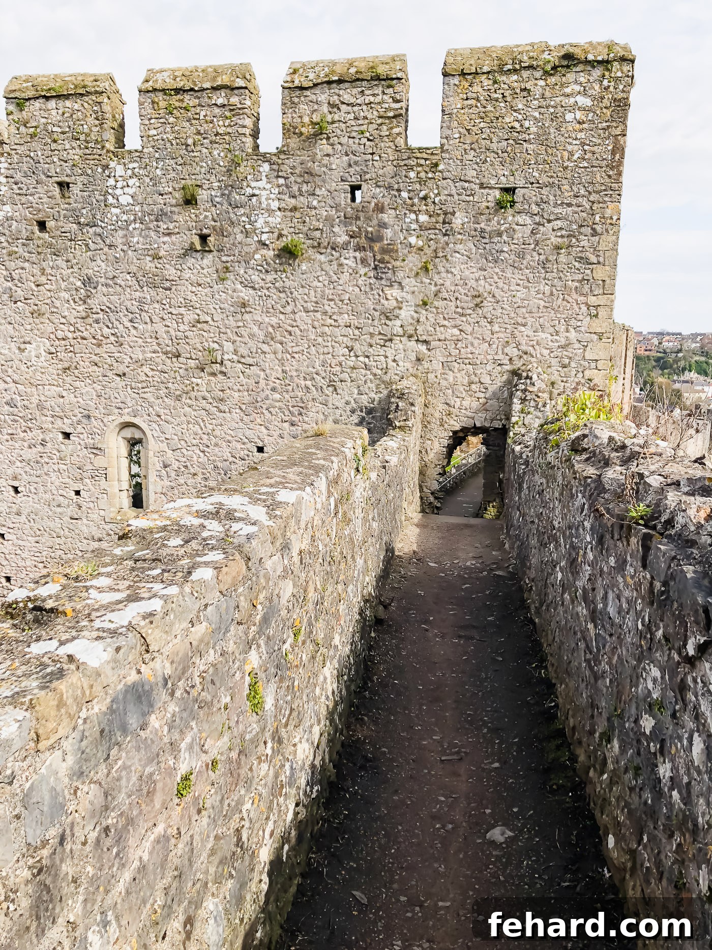 Another captivating exterior shot of Chepstow Castle, inviting exploration