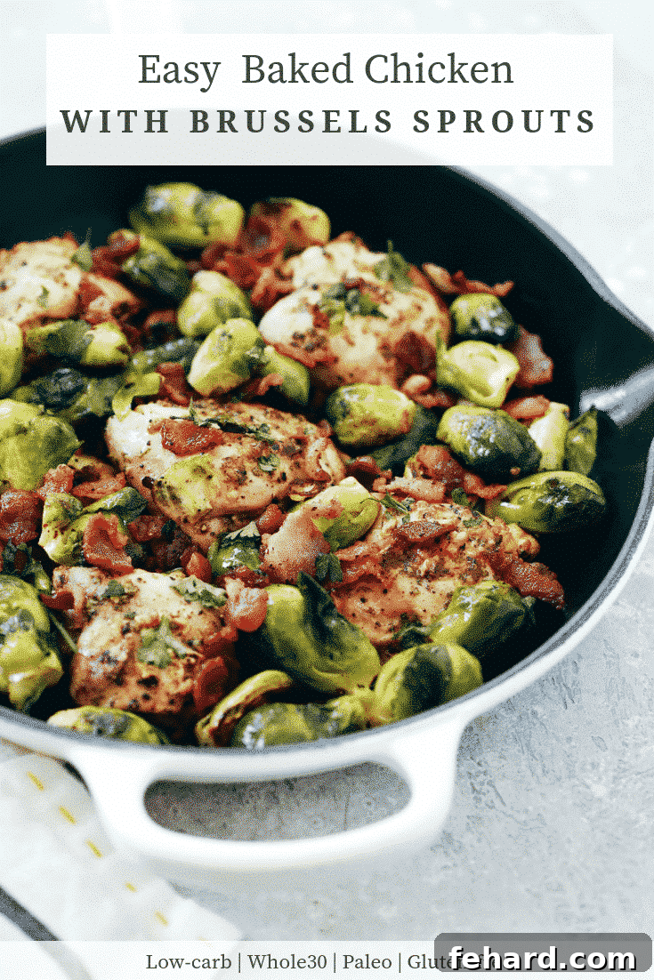 Effortless Chicken and Brussels Bake 6 Easy Baked Chicken with Brussels Sprouts with Bacon in a skillet, ready to serve