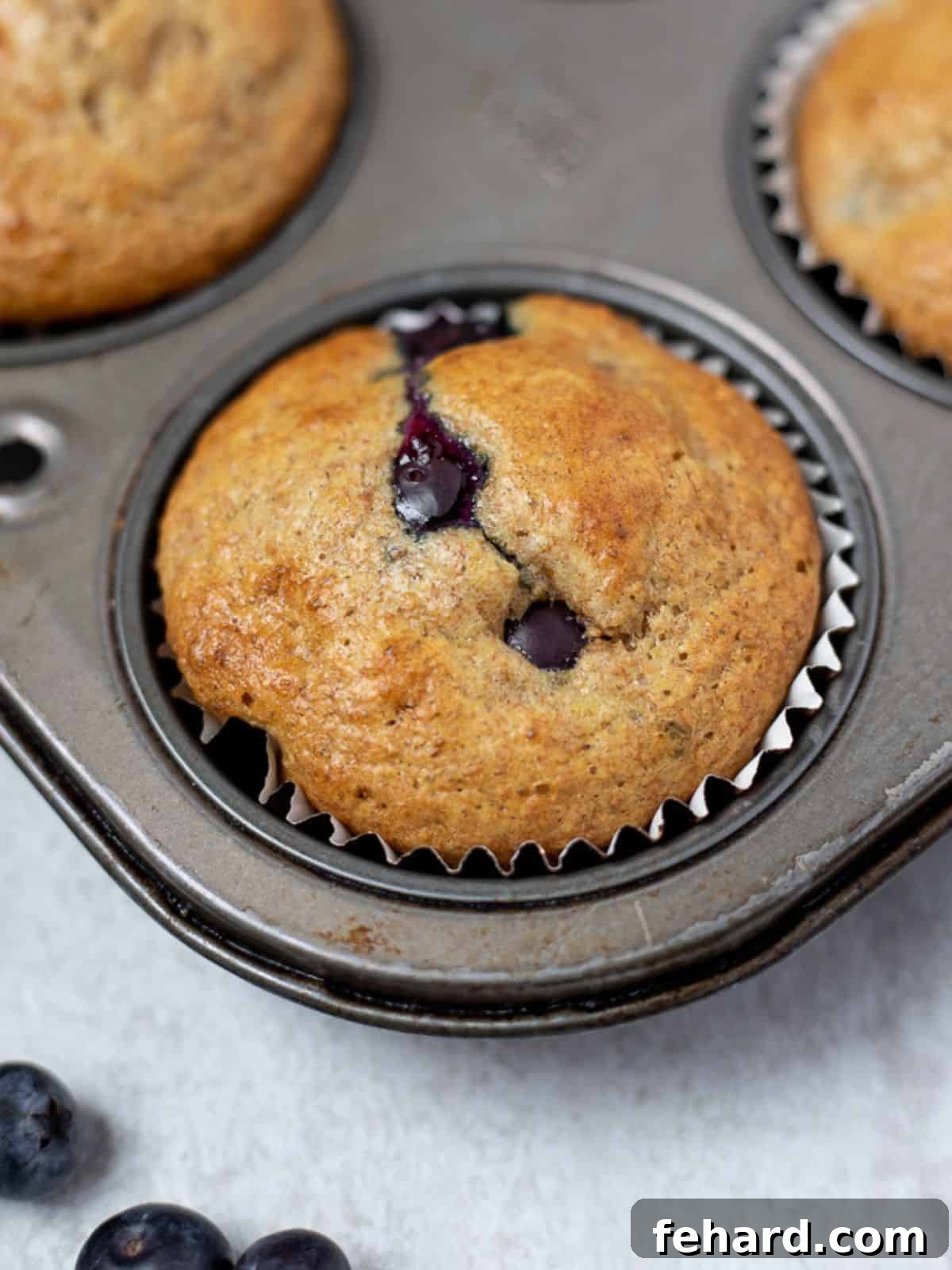 Healthy Whole Wheat Blueberry Muffins Recipe A freshly baked Whole Wheat Blueberry Muffin resting in a muffin tin, surrounded by vibrant fresh blueberries, highlighting its wholesome goodness.