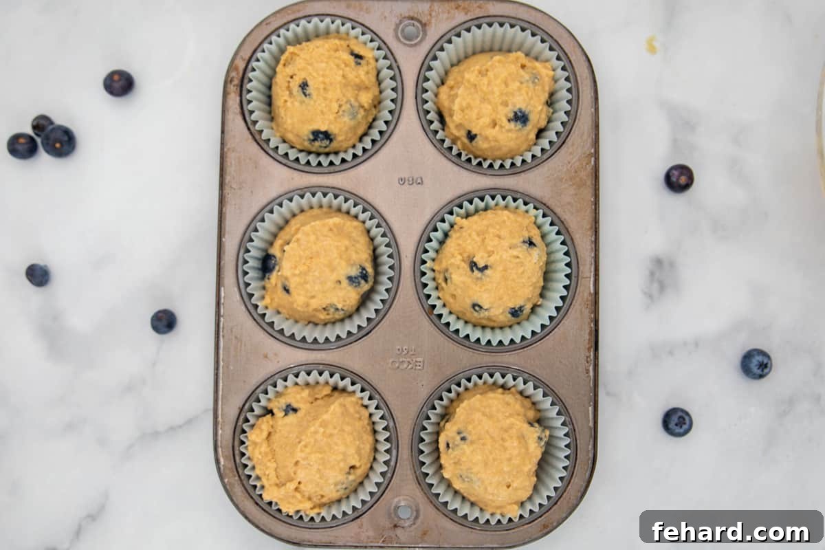Whole Wheat Blueberry Muffins Preparation Evenly portioned blueberry muffin batter in a lined muffin tin, ready for baking.