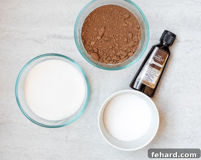 A selection of the five simple ingredients needed for homemade chocolate syrup: granulated sugar, rich unsweetened cocoa powder, clear water, a small bottle of vanilla extract, and a pinch of kosher salt on a white kitchen counter.