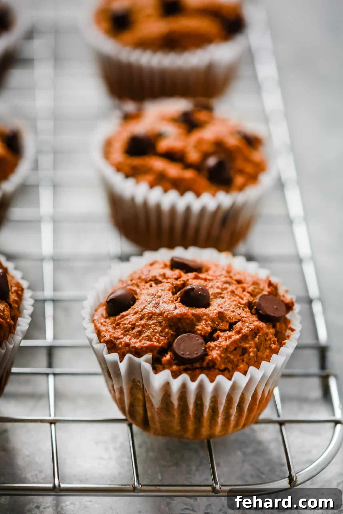 Almond Flour Pumpkin Muffins on a wooden board with autumn leaves