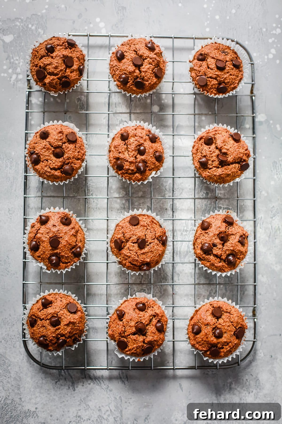 Almond Flour Pumpkin Muffins in a muffin tin