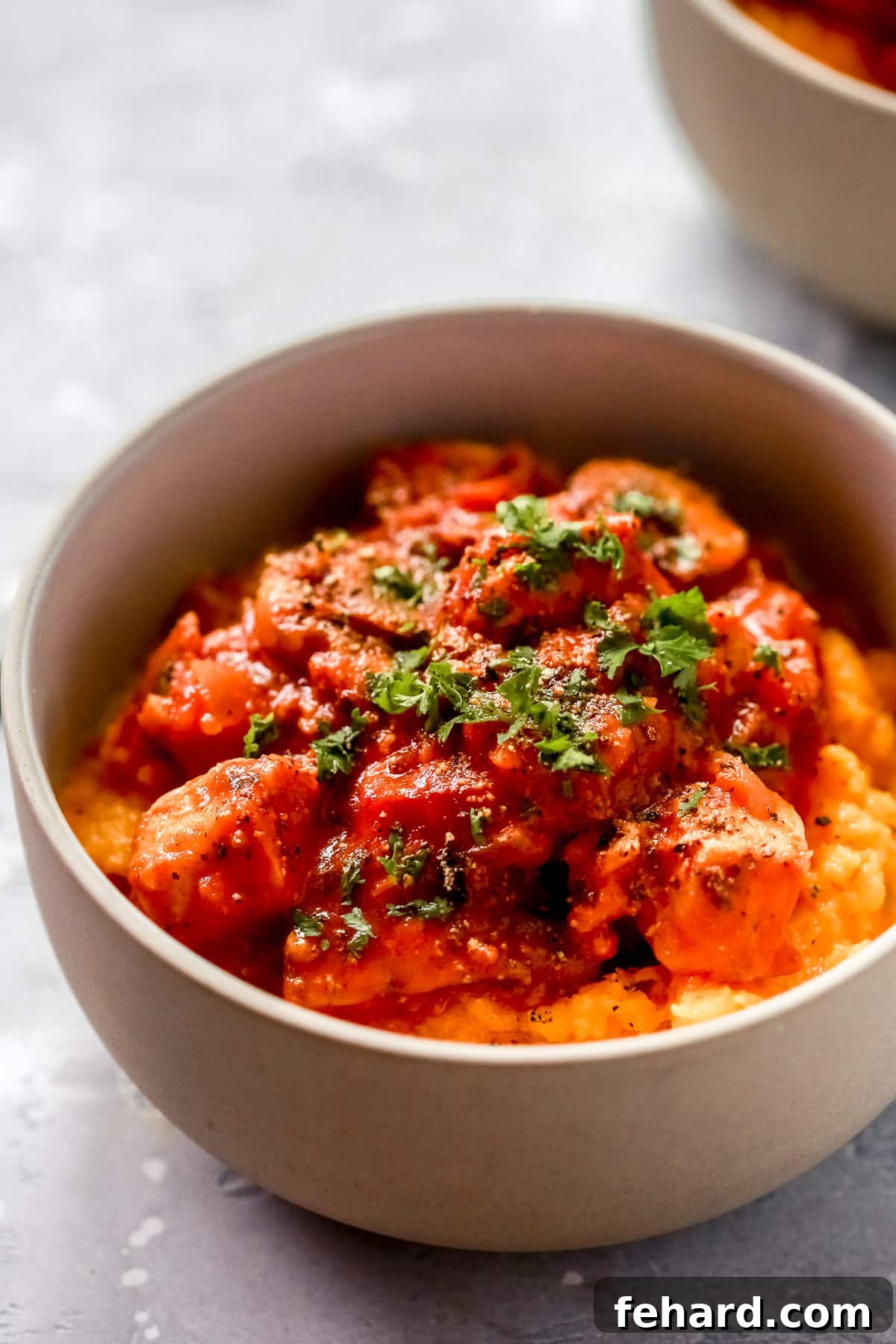 Closeup of Chicken Stroganoff with Butternut Squash Mash