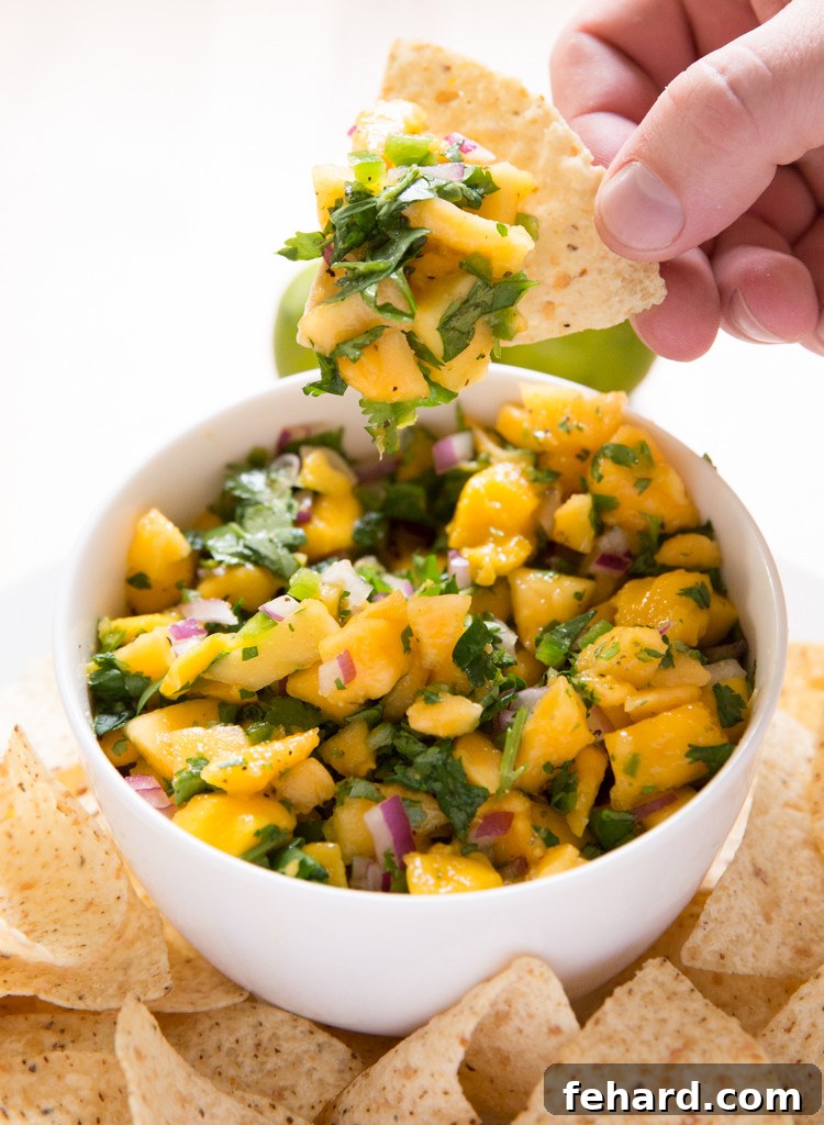 Tropical mango papaya fruit salsa in a bowl with a tortilla chip scooping some out, ideal for a summer snack.