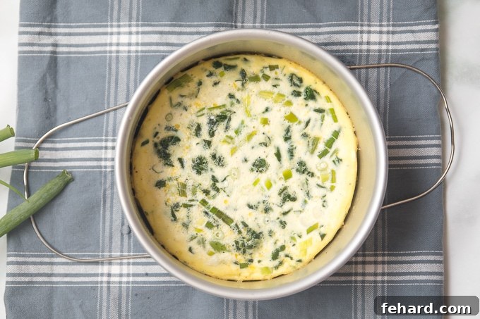 A freshly baked Instant Pot Frittata, still in its cake pan, showing a golden-brown top and fluffy texture, ready to be sliced and served.