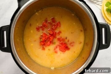 Hearty Instant Pot Chicken Tortilla Soup 5 Seasoned chicken stock with raw chicken breasts, corn, beans, and rotel tomatoes.