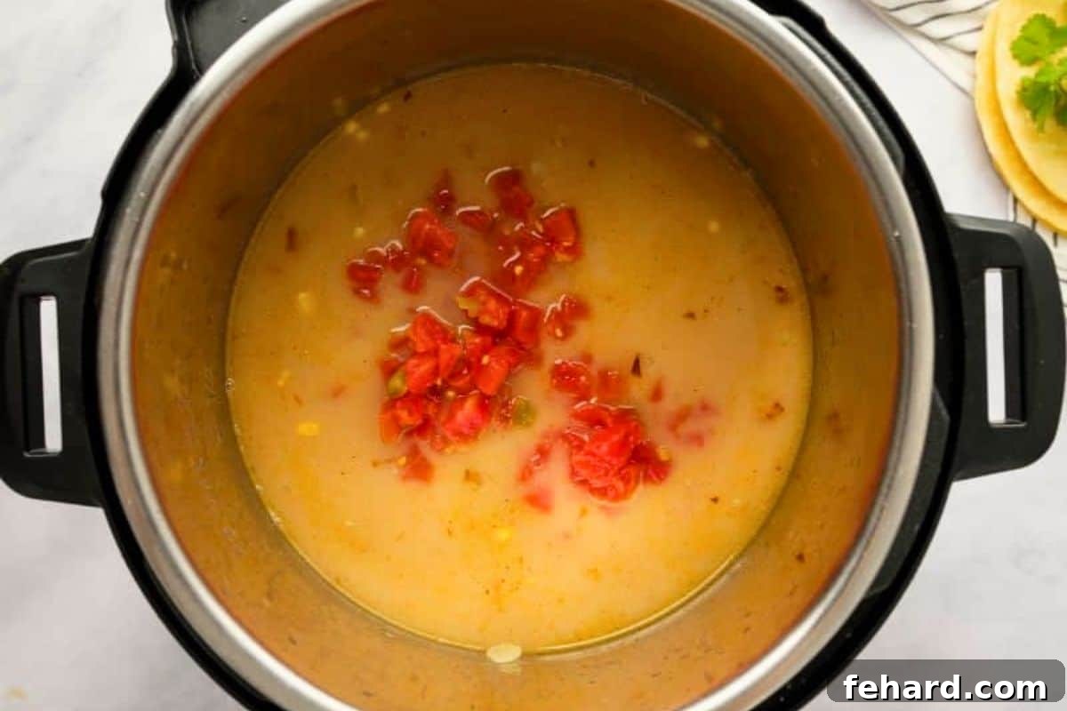 Instapot Chicken Tortilla Soup Seasoned chicken stock with raw chicken breasts, corn, beans, and rotel tomatoes.