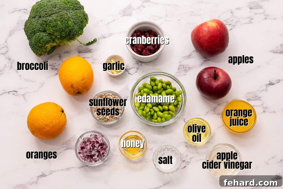 Fresh ingredients for a healthy broccoli salad, including broccoli florets, crisp apples, juicy oranges, red onion, and dried cranberries, neatly arranged on a white kitchen counter, ready for preparation.