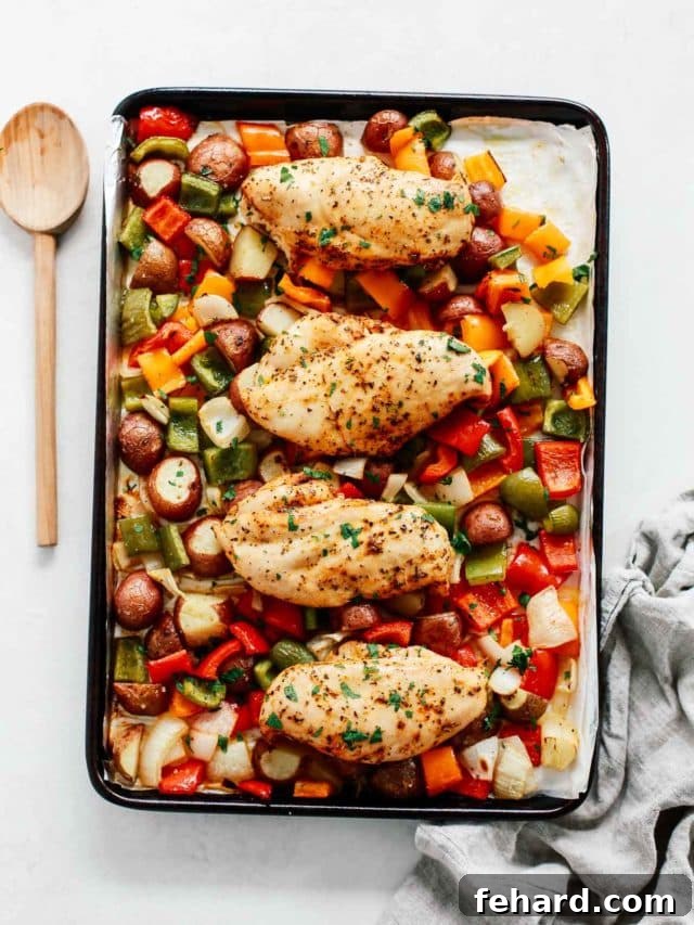 Overhead view of chicken breast with vibrant Mediterranean vegetables including cherry tomatoes, zucchini, and olives on a baking sheet, roasted to perfection.