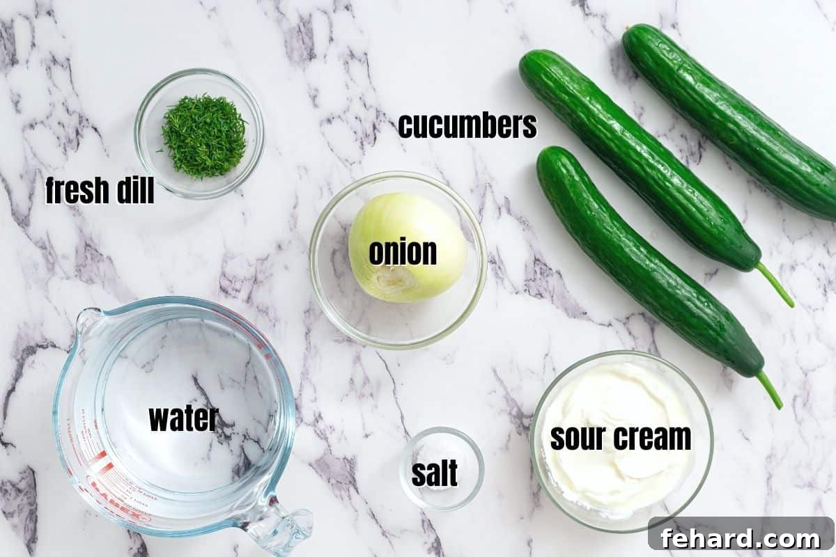 Array of fresh ingredients laid out for making creamy cucumber salad, including crisp cucumbers, pungent onions, creamy sour cream, and aromatic fresh dill.