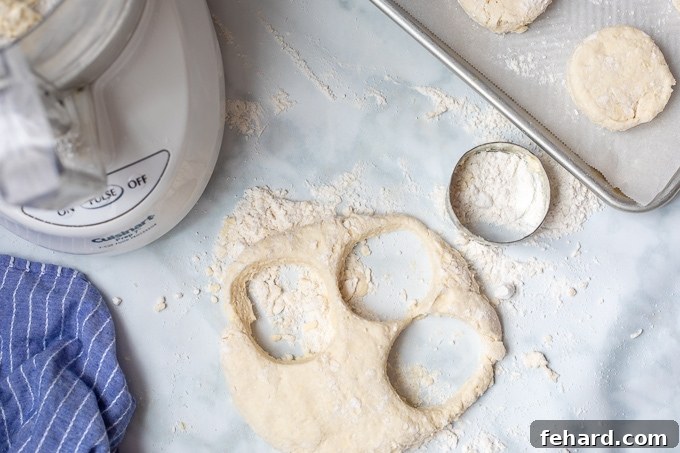 Buttermilk biscuits Biscuit dough being cut out using biscuit cutter
